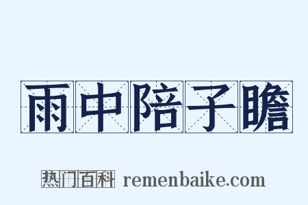 雨中陪子瞻是什么意思的图片